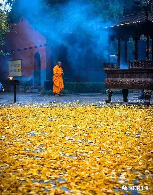 历经1900年,这里依旧是洛阳香火最鼎盛的寺庙之一