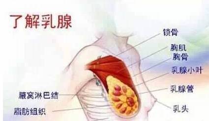 一位27岁女孩自述:乳腺增生我没当回事,得了癌才后悔