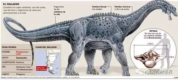 瑞氏普尔塔龙,据美国国家地理报道,最近,阿根廷科学家发现了一种曾经