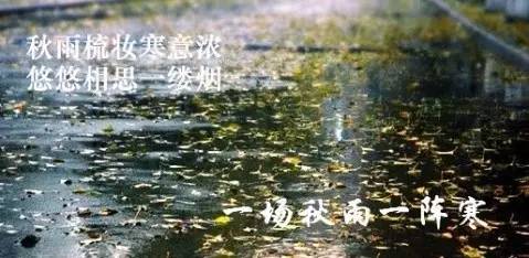 一场秋雨一场寒