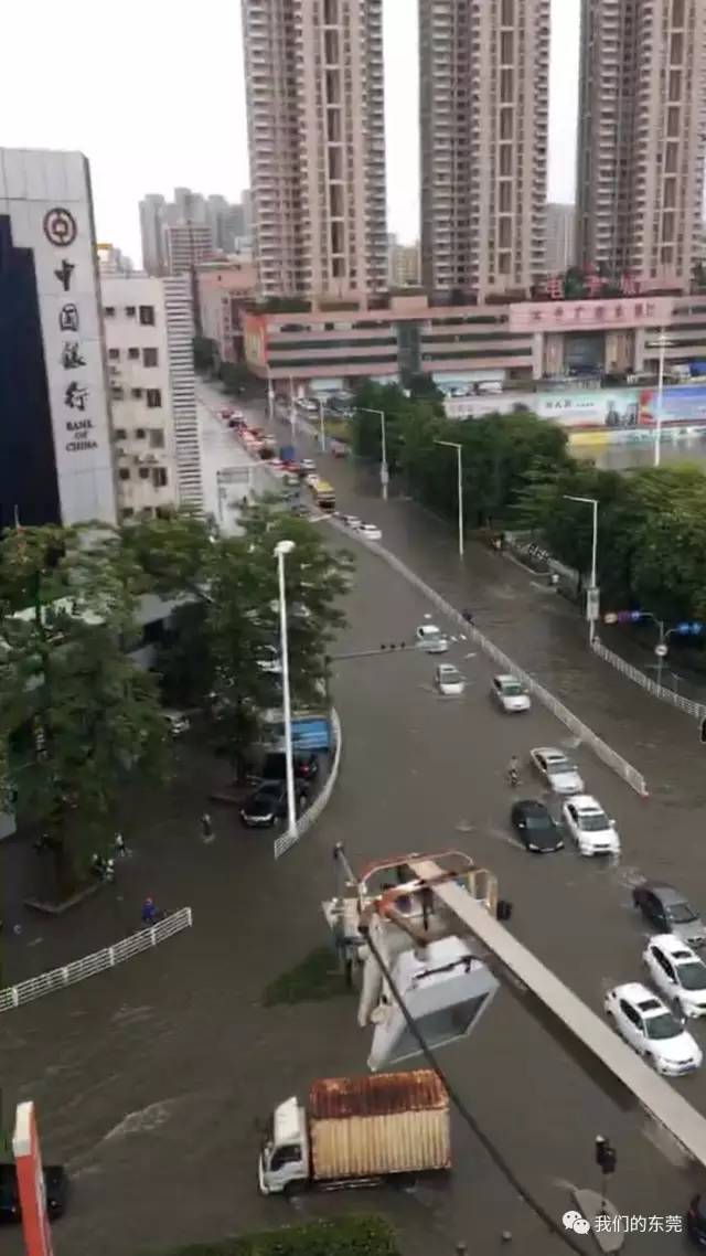 北海海水涌入市区街道，一场城市与海洋的意外对话