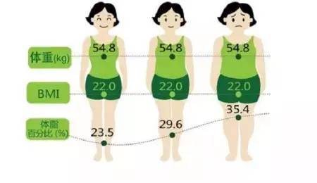 而维度的大小 其实都是脂肪在作怪 同样的bmi,体重 外形差异是巨大的