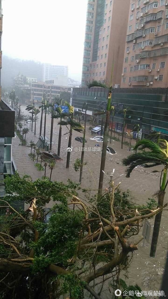 强台风"天鸽"登陆广东珠海,云南也将遭狂风暴雨