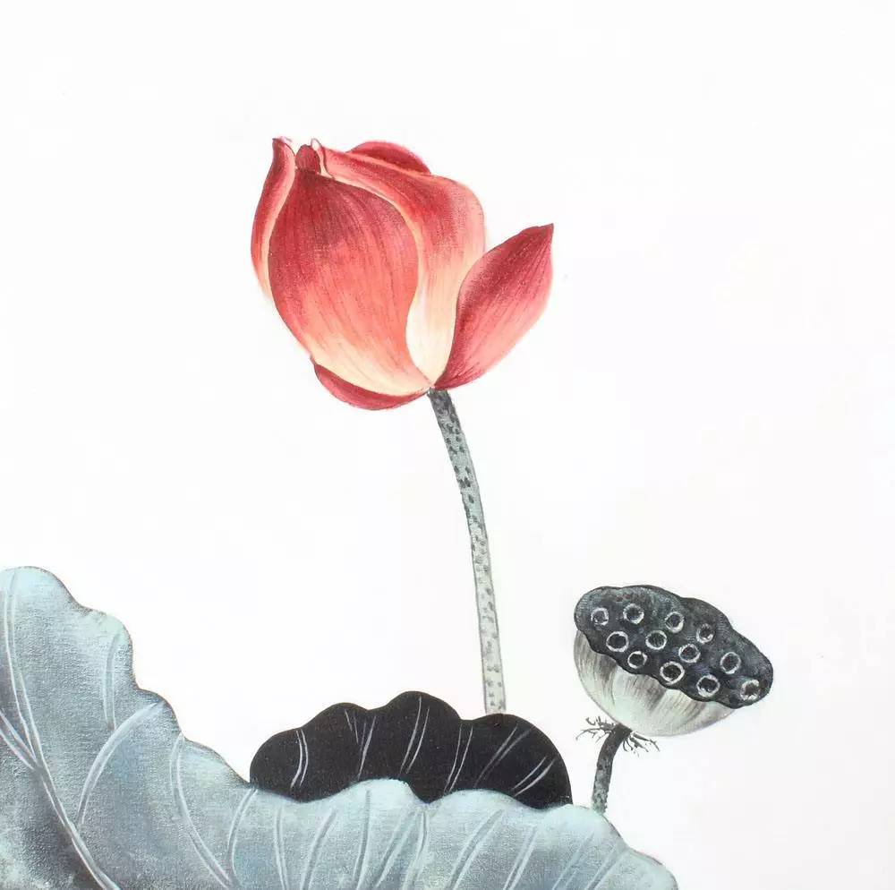 ——杨万里 荷花作为中国的十大名花之一,它不仅花大色艳,清香远溢