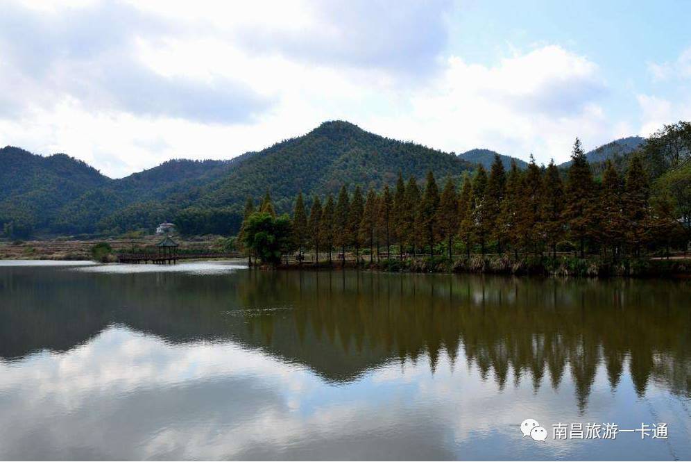 年卡免费景区湾里狮子峰