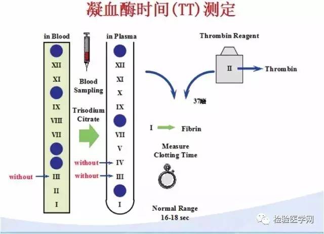 血液凝固的原理_图为血液凝固机理