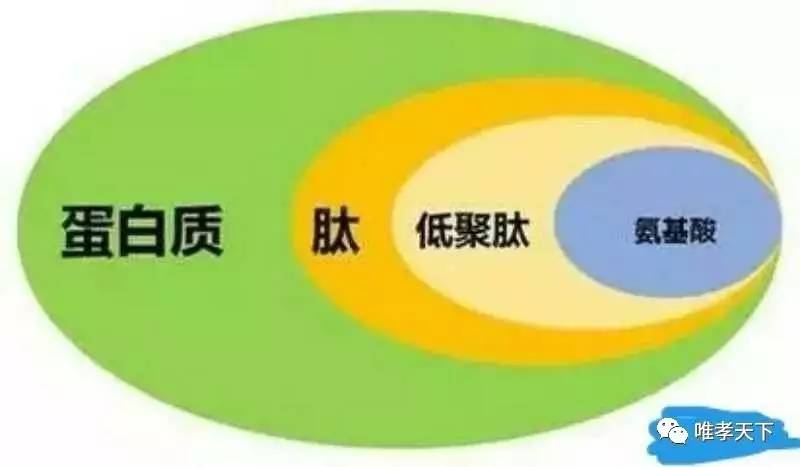 俺一个学生```预算很少```答:成人来讲必需氨基酸共有八种:赖氨酸,色