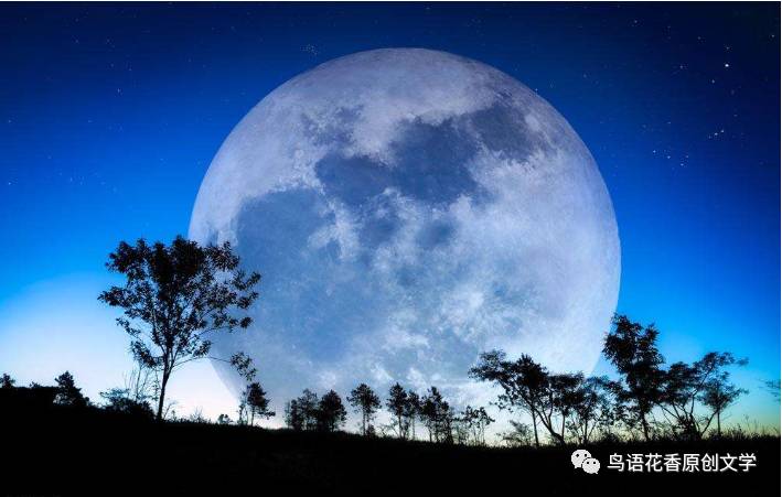 唐朝,那一枚最绝美的月亮(杨红梅)