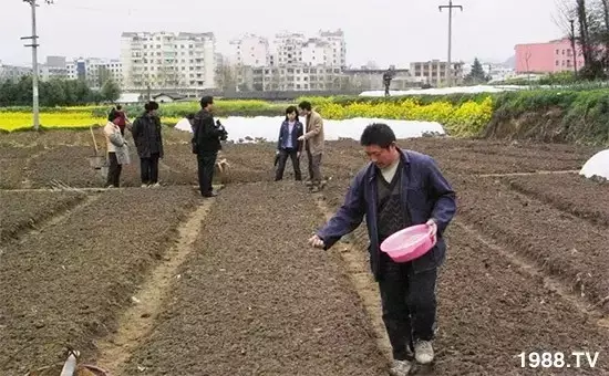 人口耕地_七里河依法拆除城中村改造区违法建设