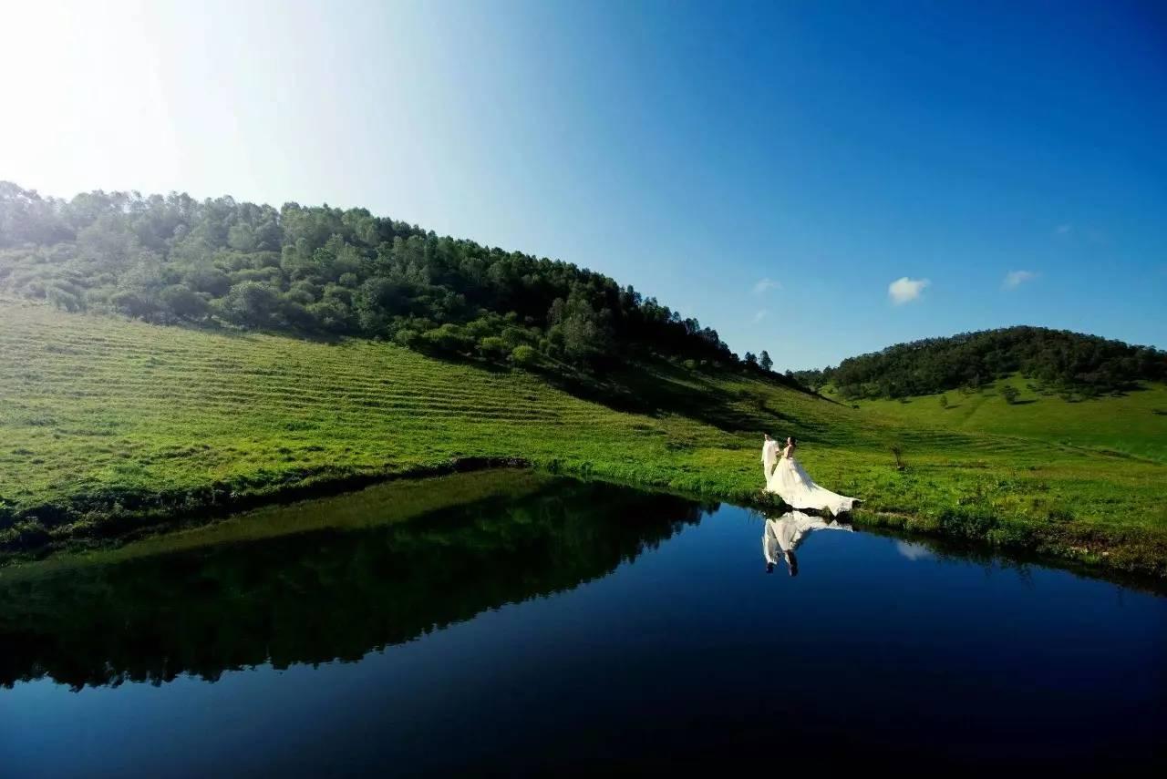 放逐·高山草甸 · 关山牧场自驾游