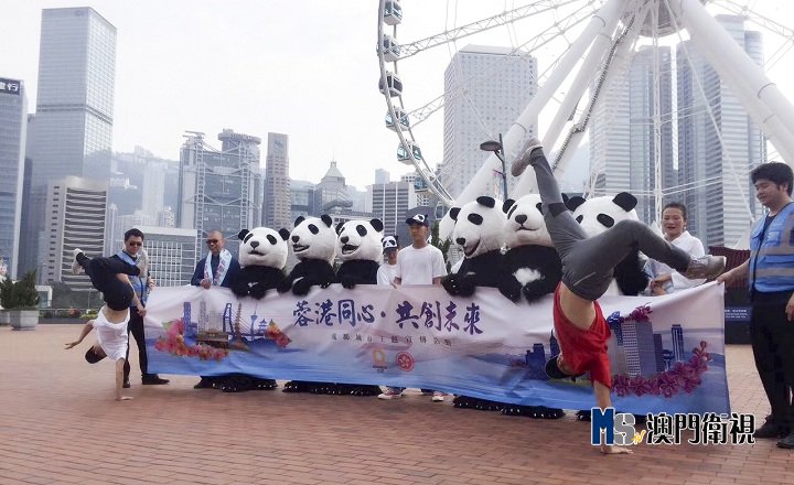 "萌态熊猫·舞动香港"城市外宣活动在港掀起成都热潮