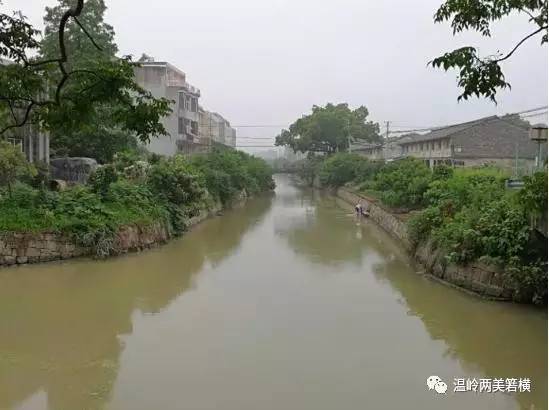 最美河道箬横九份内河流经四村的镇级支河