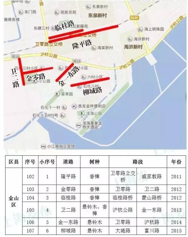 公示|这条道路拟命名为上海市林荫道!在你家附近吗?