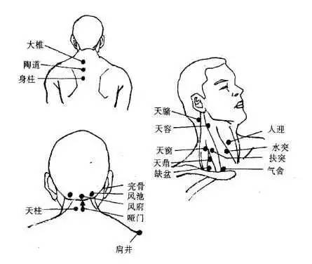 肩部专业知识及肩颈按摩手法_人体穴位大全-脚底穴位