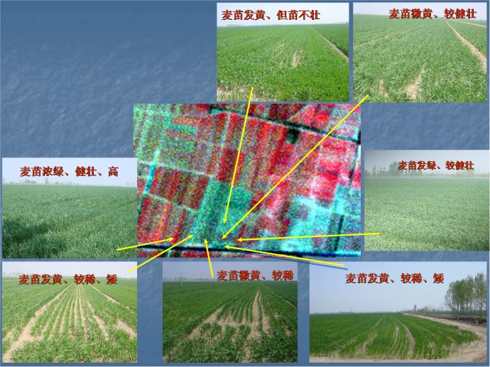 卫星遥感影像技术在农业中的应用