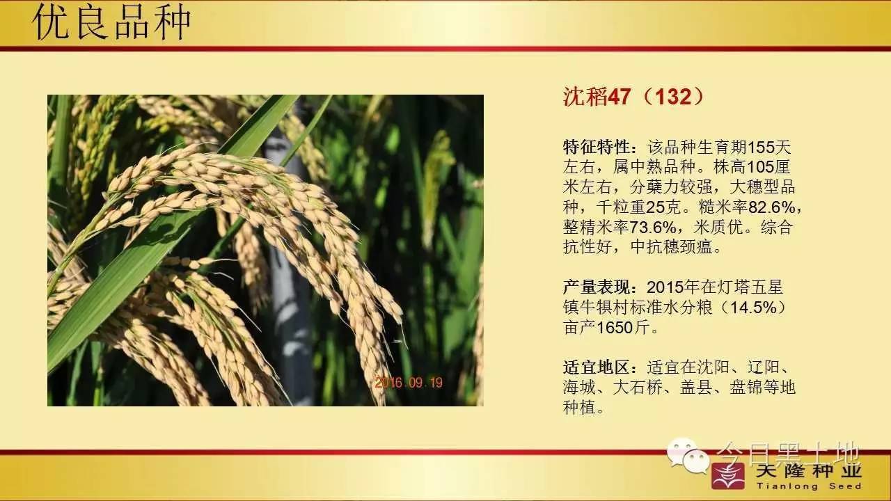 天隆小课堂为了丰收让我们相遇吧