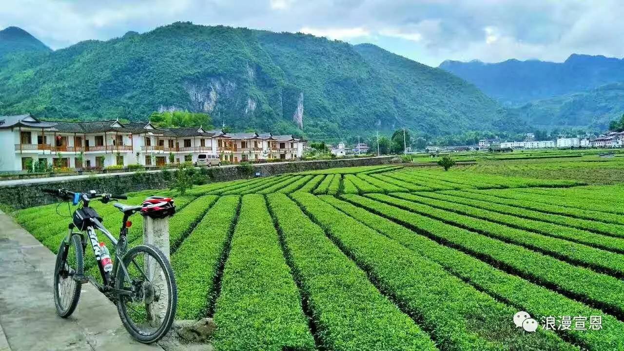 最美田园风景手绘