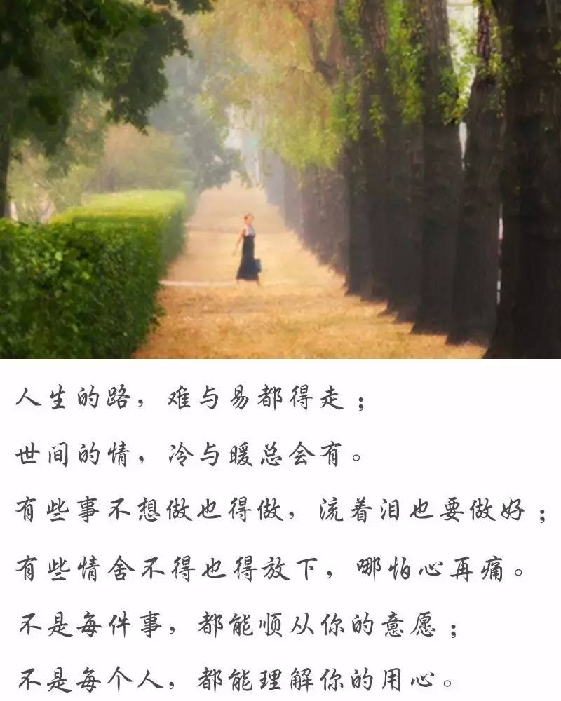 人生的路,难与易都得走;世间的情,冷与暖总会有