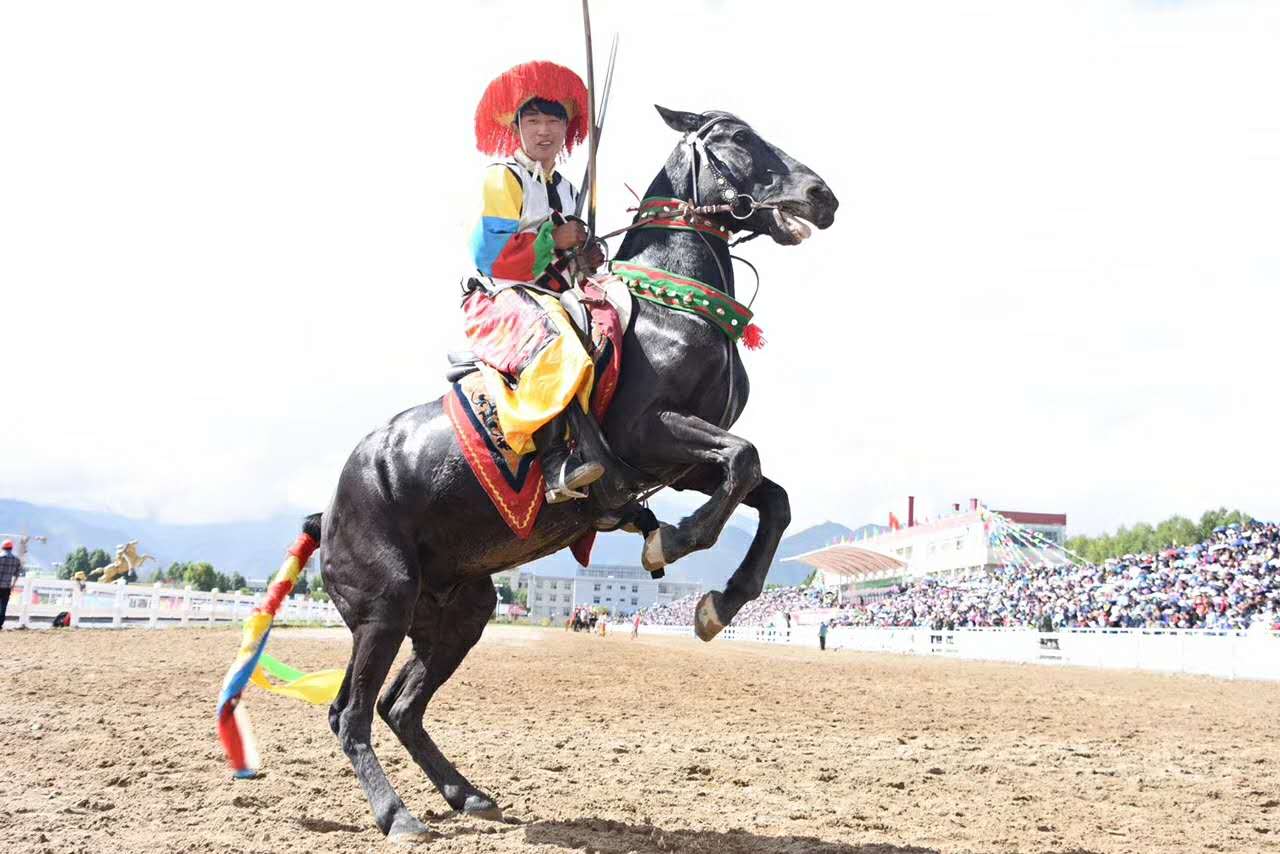 拉萨雪顿节今日赛马现场,这些藏民族马术表演你肯定没见过