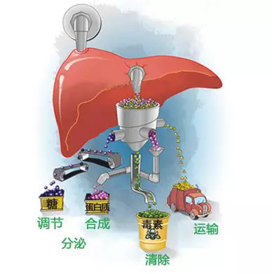 人口过多的压力_人口压力图片(2)