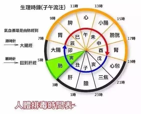 【扩散】刷爆朋友圈的"人体排毒时间表"靠谱吗?背后的