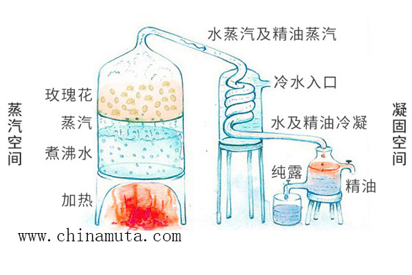 玫瑰纯露是蒸馏法提炼的,经过高温高压就有略酸的味道,香精勾兑出来