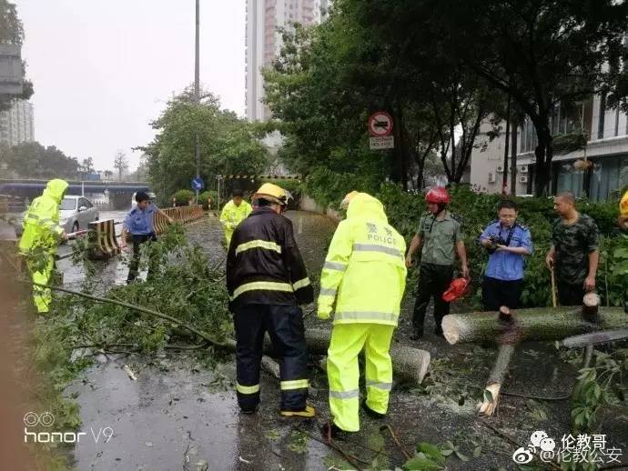 台风"天鸽"刚走,又有新台风将生成!未来7天顺德的天气是.