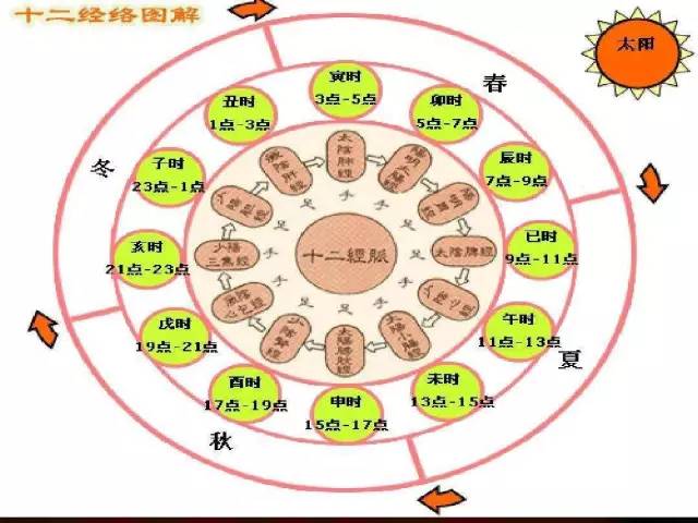 真相| 别被骗了!人体并没有排毒时间表,无须刻意按时排毒!