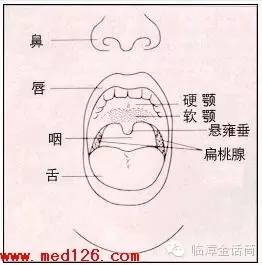 要想说对四,舌头碰牙齿; 要想说对十,舌头别伸直. 认真学,常