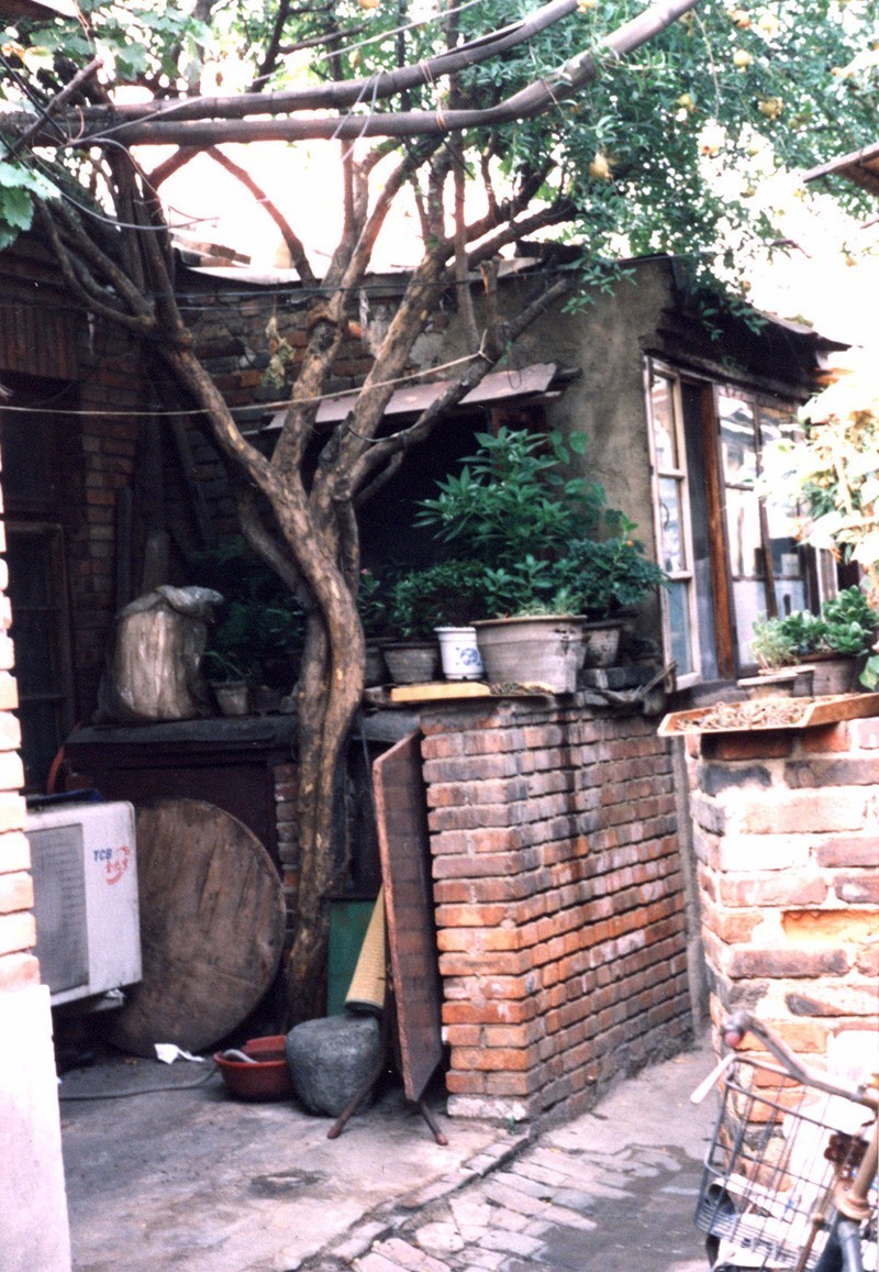 九十年代的 天津老城里大杂院