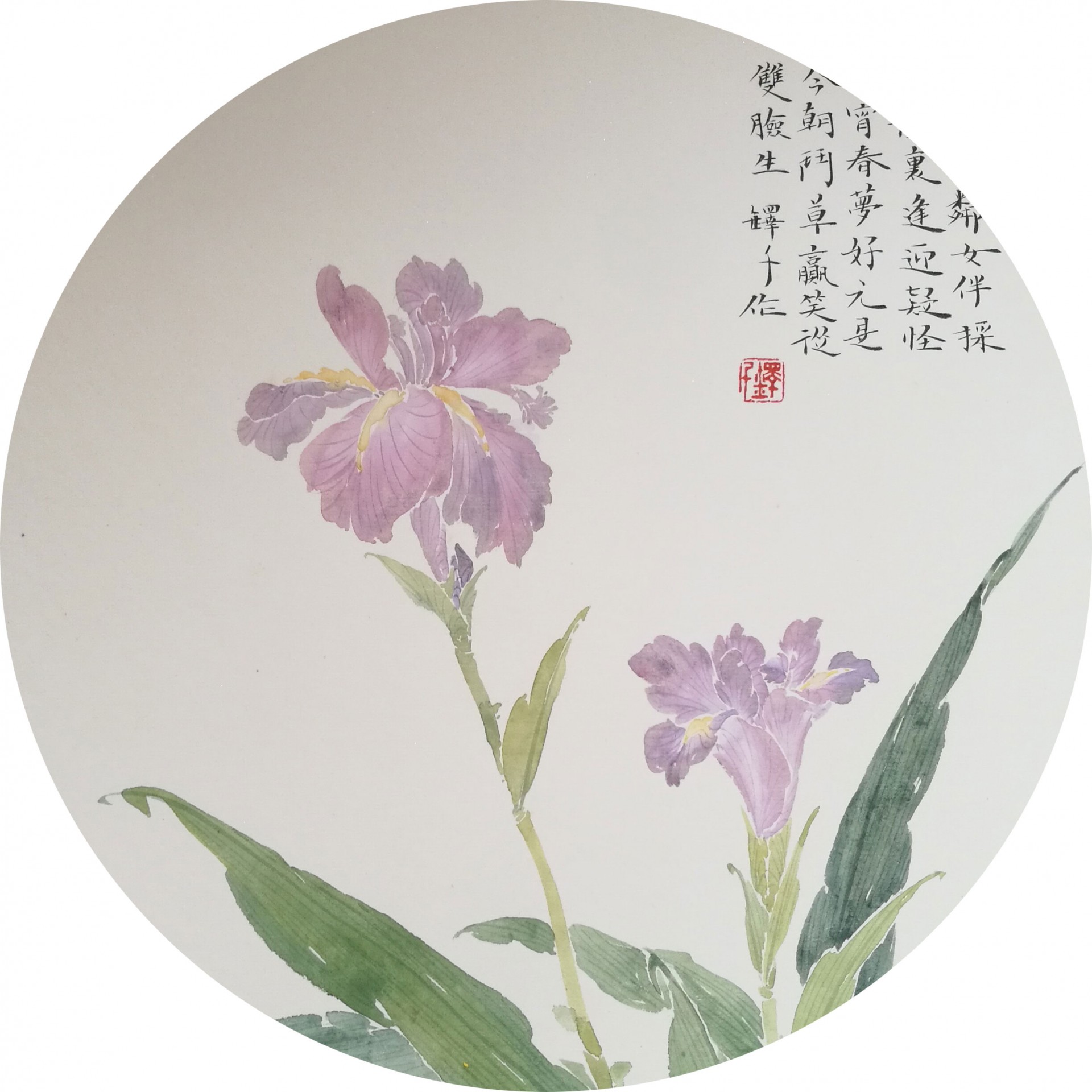 《鸢尾花》