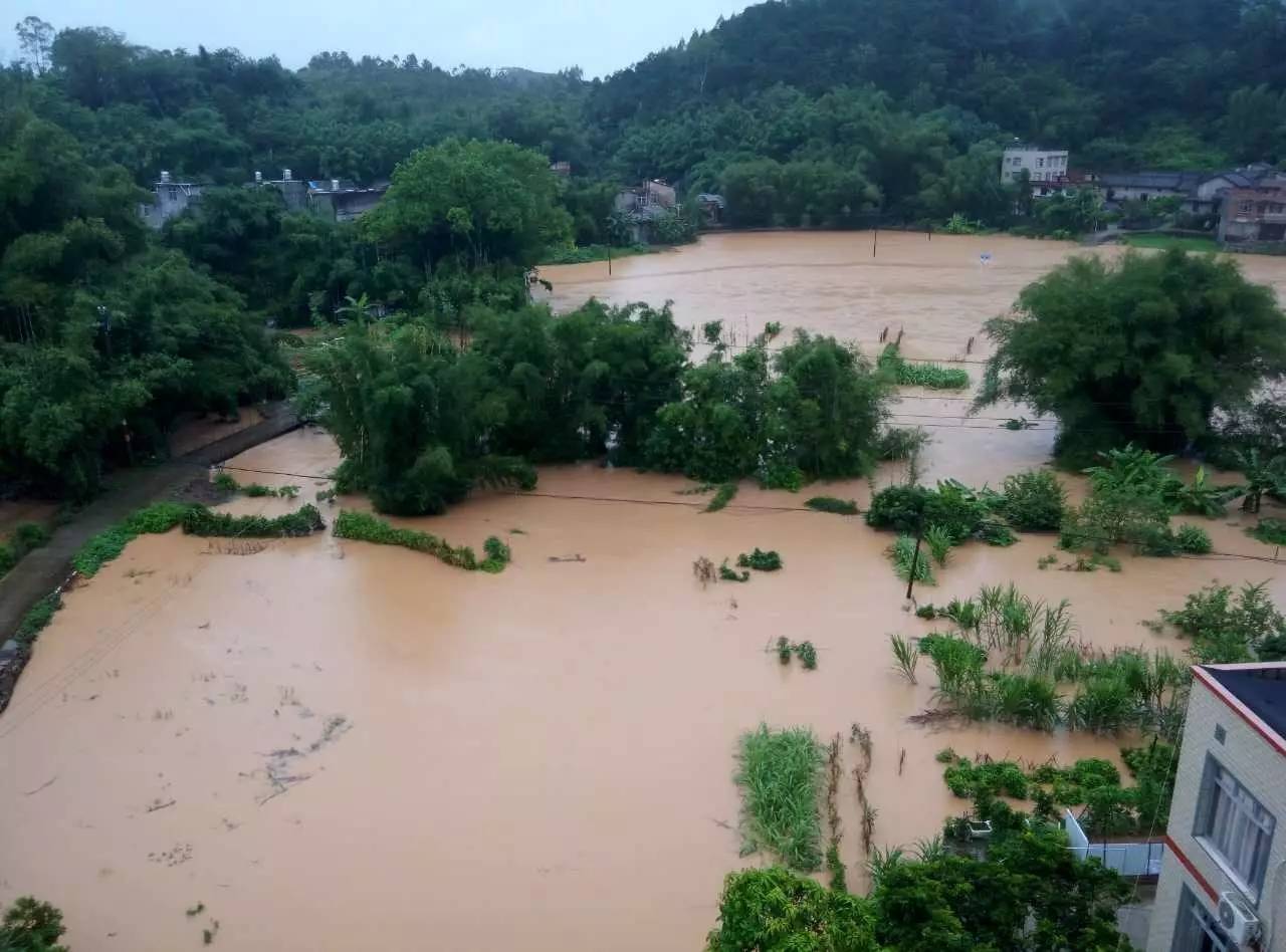 "天鸽"席卷全浦北,多地积水严重