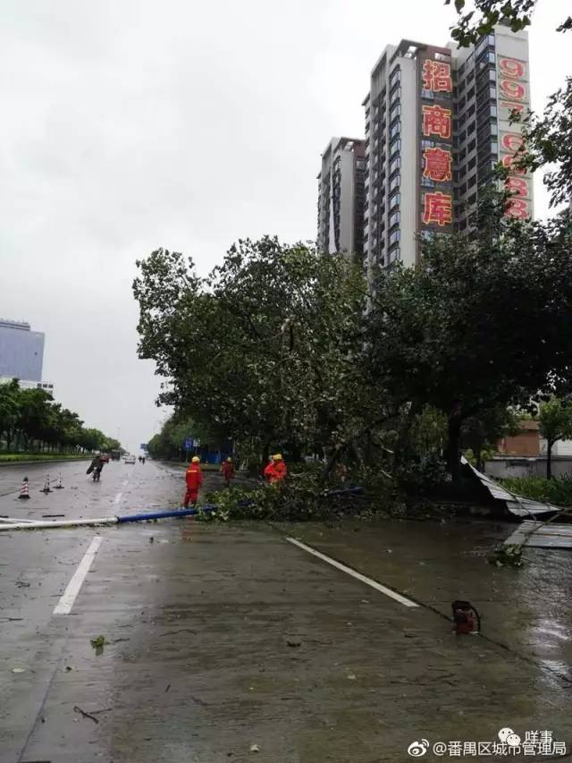 清流县镇区人口_清流县特殊学校(3)