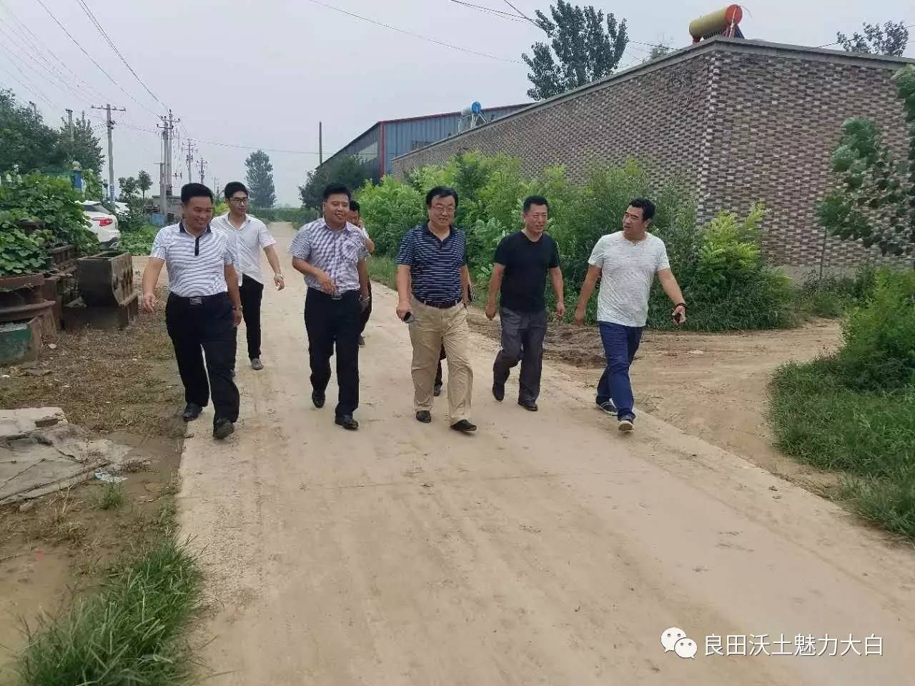 魅力大白县政协主席张向阳同志来我乡调研走访