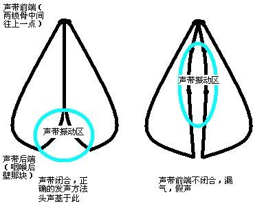 声乐教学声带上两个常见的位置唱歌时应该使用哪一个