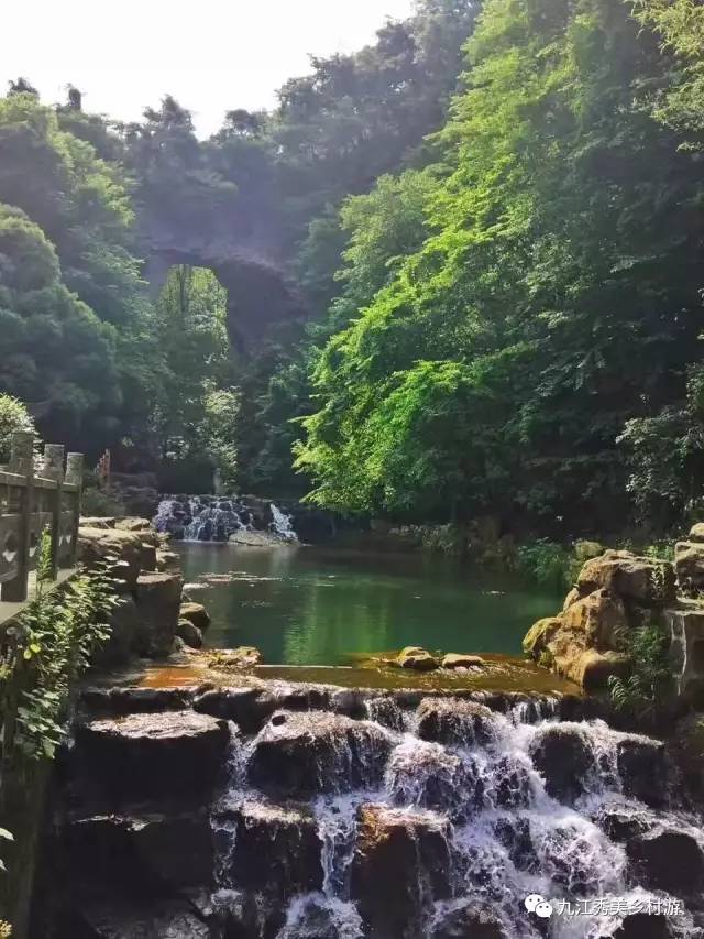 旅游 正文