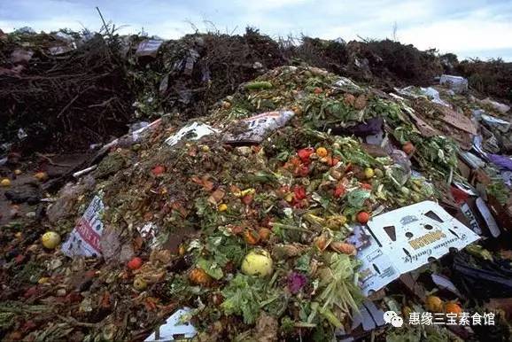 一年浪费2亿人口粮的_...不知道,中国人一年浪费的粮食能抵2亿人一年的口粮(3)