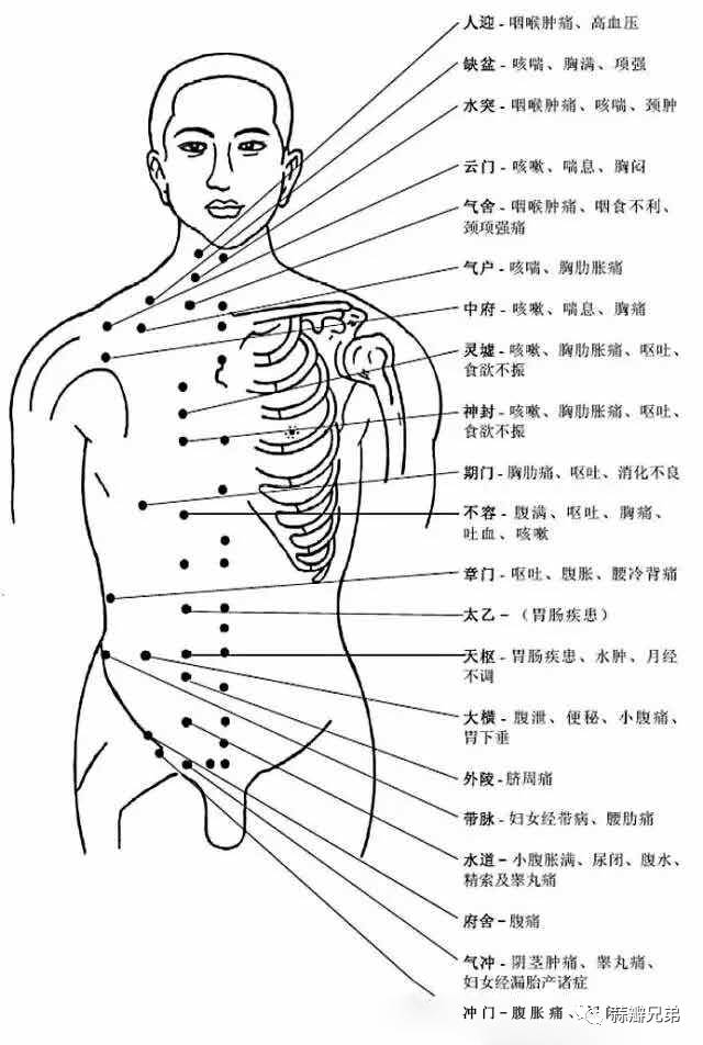 背部穴位和穴位功能主治说明