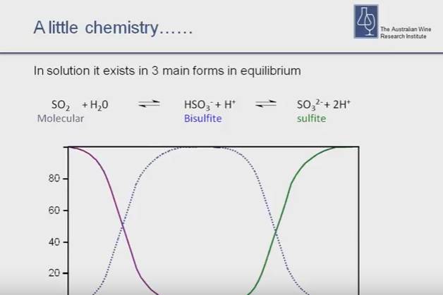 葡萄酒里面到底有没有二氧化硫？
