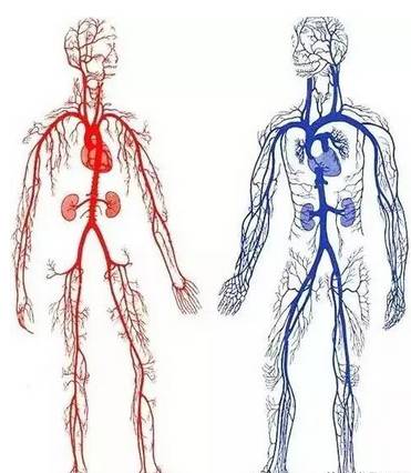 身上筋结散,体内百病去,那么如何散去身上的筋结呢?