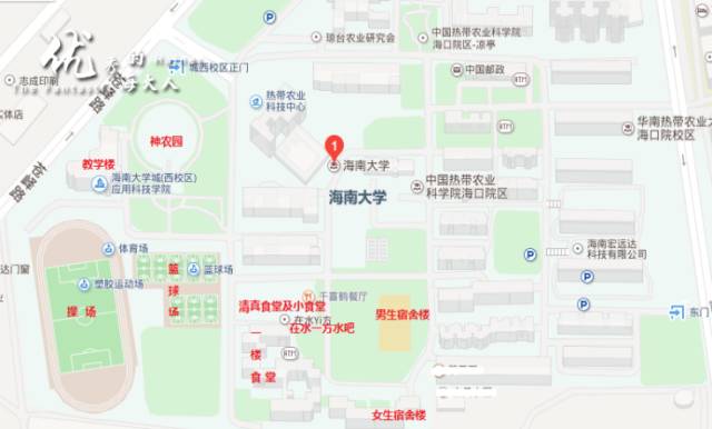 海南大学城西校区地处海南省海口市龙华区学院路4号,距海甸校区(校本