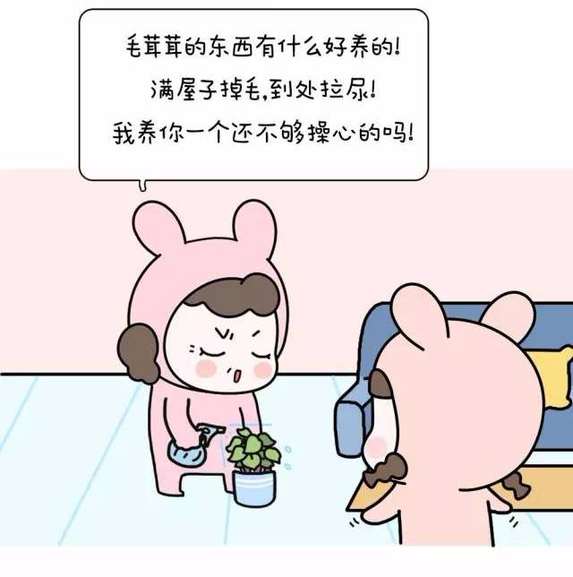 我知道自从爸妈养了宠物,我在这个家就是多余的.