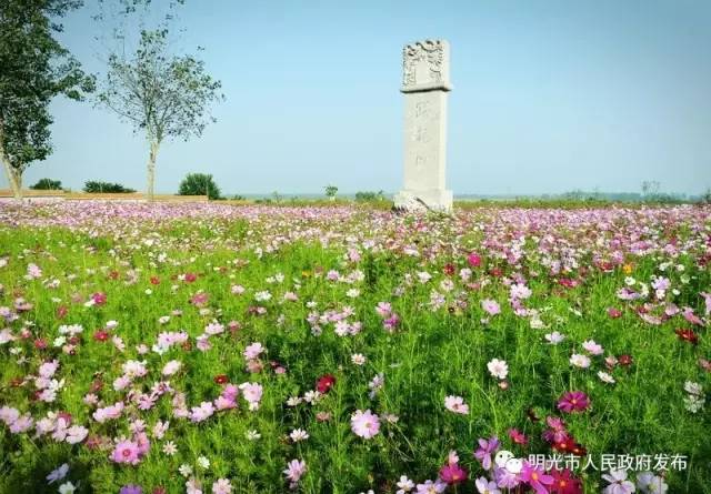 关注一起来了解明光的旅游资源规划你最喜欢哪一个景区