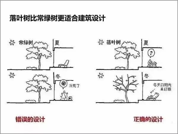 绿色建筑该如何设计