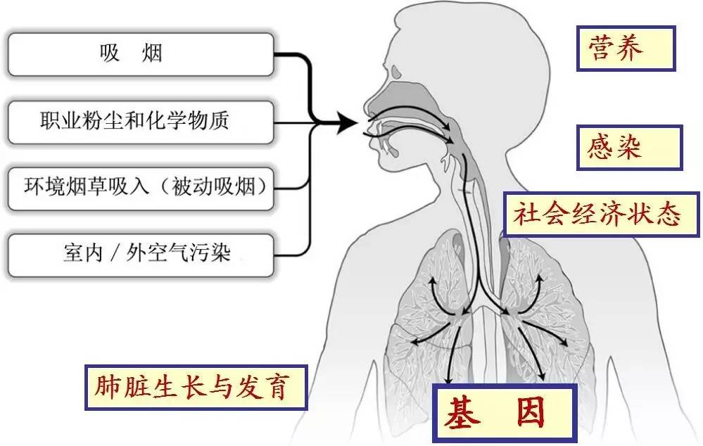 市立晨课丨无创通气在慢阻肺中的应用内附下周课表