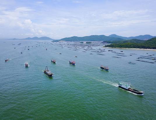 "大美渔村平安渔业"中国渔业摄影宣传活动在广东