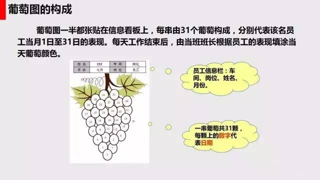 员工绩效管理-葡萄图