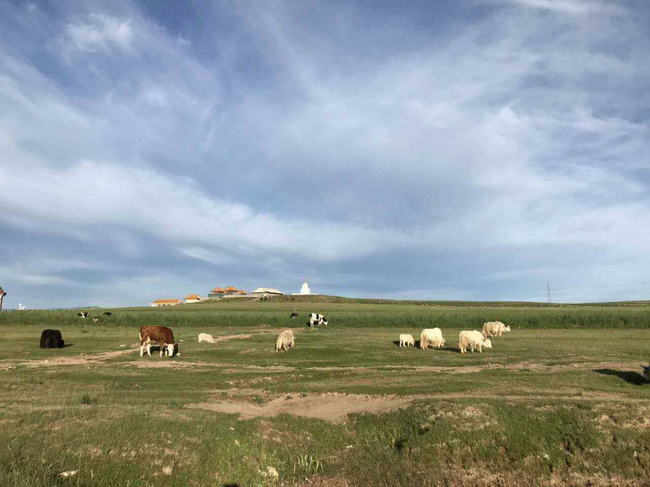 朋友你知道察哈尔牧场吗察哈尔和平对话后记