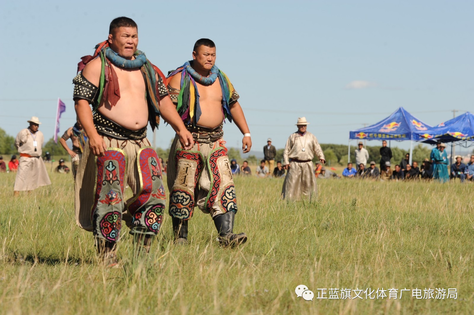 内蒙古搏克精英赛正蓝旗站圆满落幕