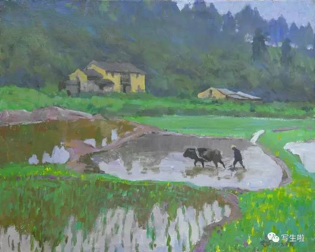 天唱地和——中国自然之声油画艺术研究院第三届中国风景油画邀请展
